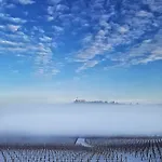 Terra Di Collina