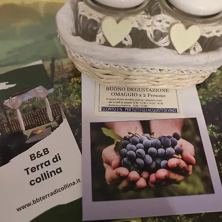 Terra Di Collina *