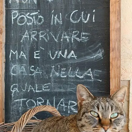 Terra Di Collina Bed & Breakfast *