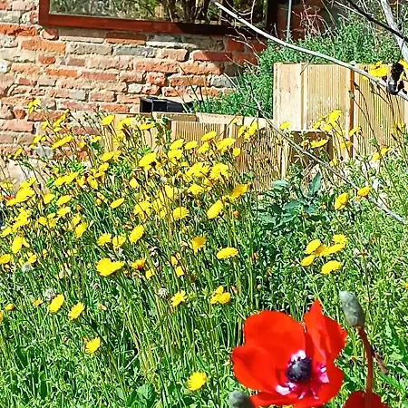 B&B Terra Di Collina Relais 몬테그로소 다스티