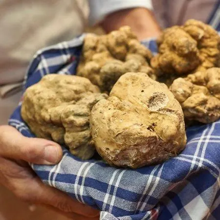 Bed and breakfast Terra Di Collina Montegrosso dʼAsti