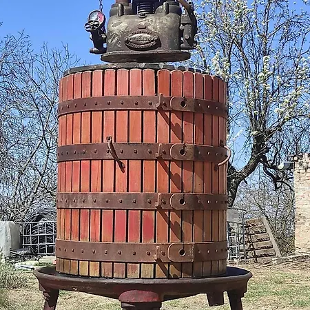 Bed & Breakfast Terra Di Collina 4*