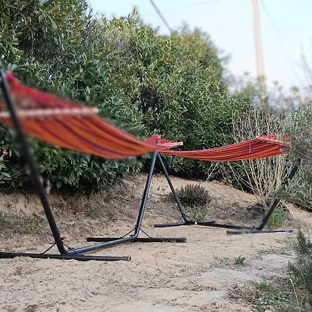 Terra Di Collina Bed & Breakfast Montegrosso dʼAsti