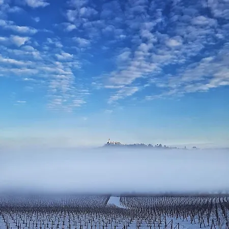 B&B Terra Di Collina Biker Friendly-Pool-Sauna-Jacuzzi