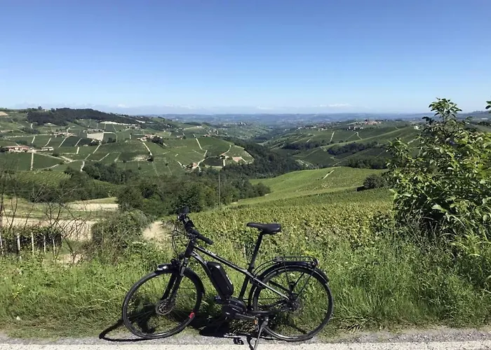 Terra Di Collina Montegrosso dʼAsti