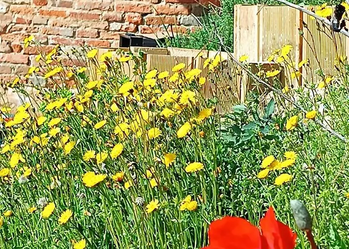 Bed & Breakfast Terra Di Collina Montegrosso dʼAsti